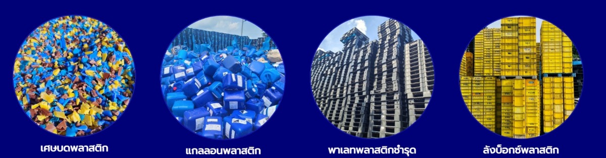 บริการของเรา